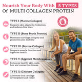 Zetelixia Multi Collagen Gummies ingredients list on packaging