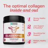 ZHOU Collagen Peptides Powder 91g scoop with powder
