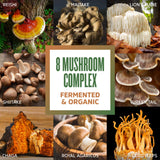 ZHOU Mushroom 8-Plex Organic Powder mixed in a smoothie