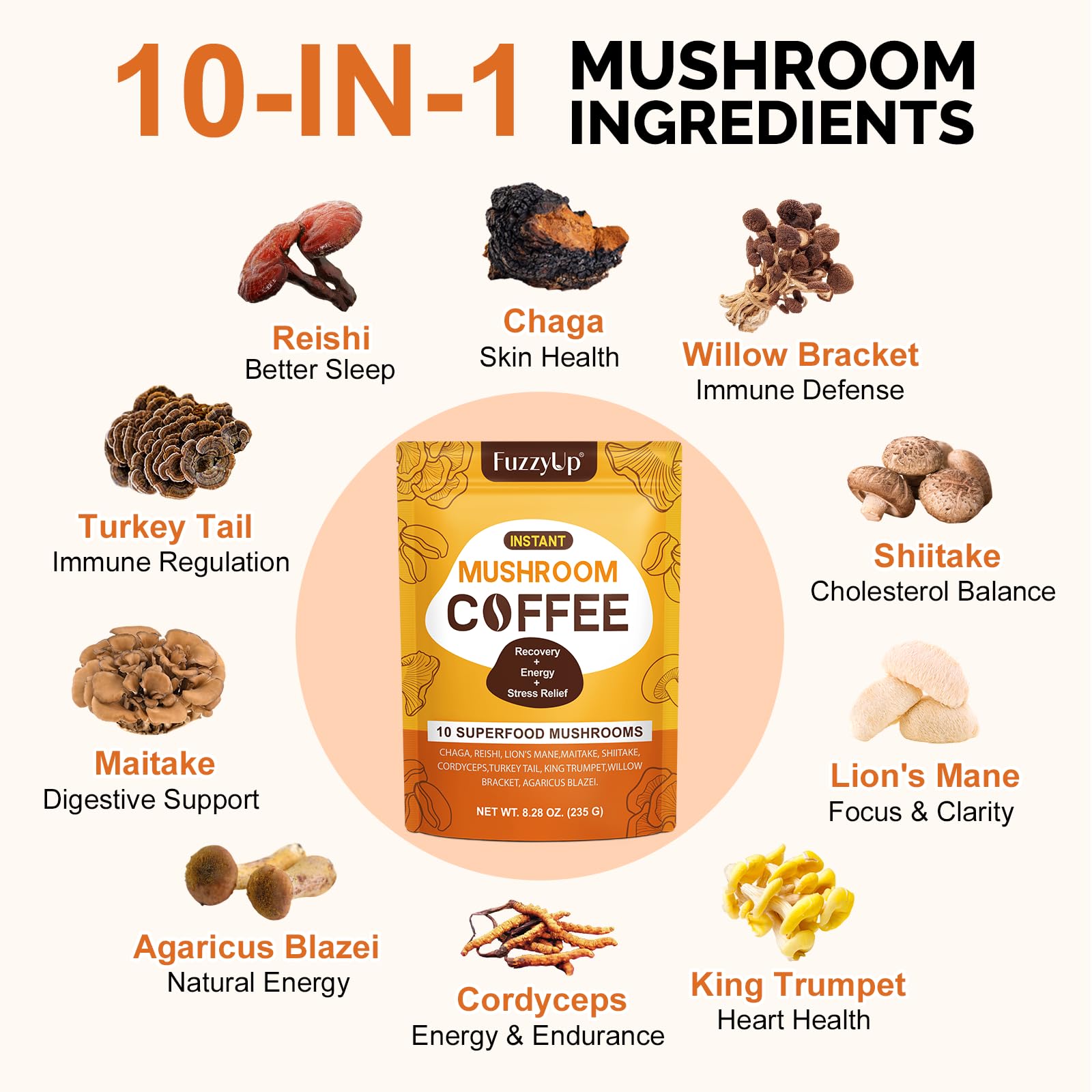 ZhuGuaCo Organic Mushroom Coffee served iced