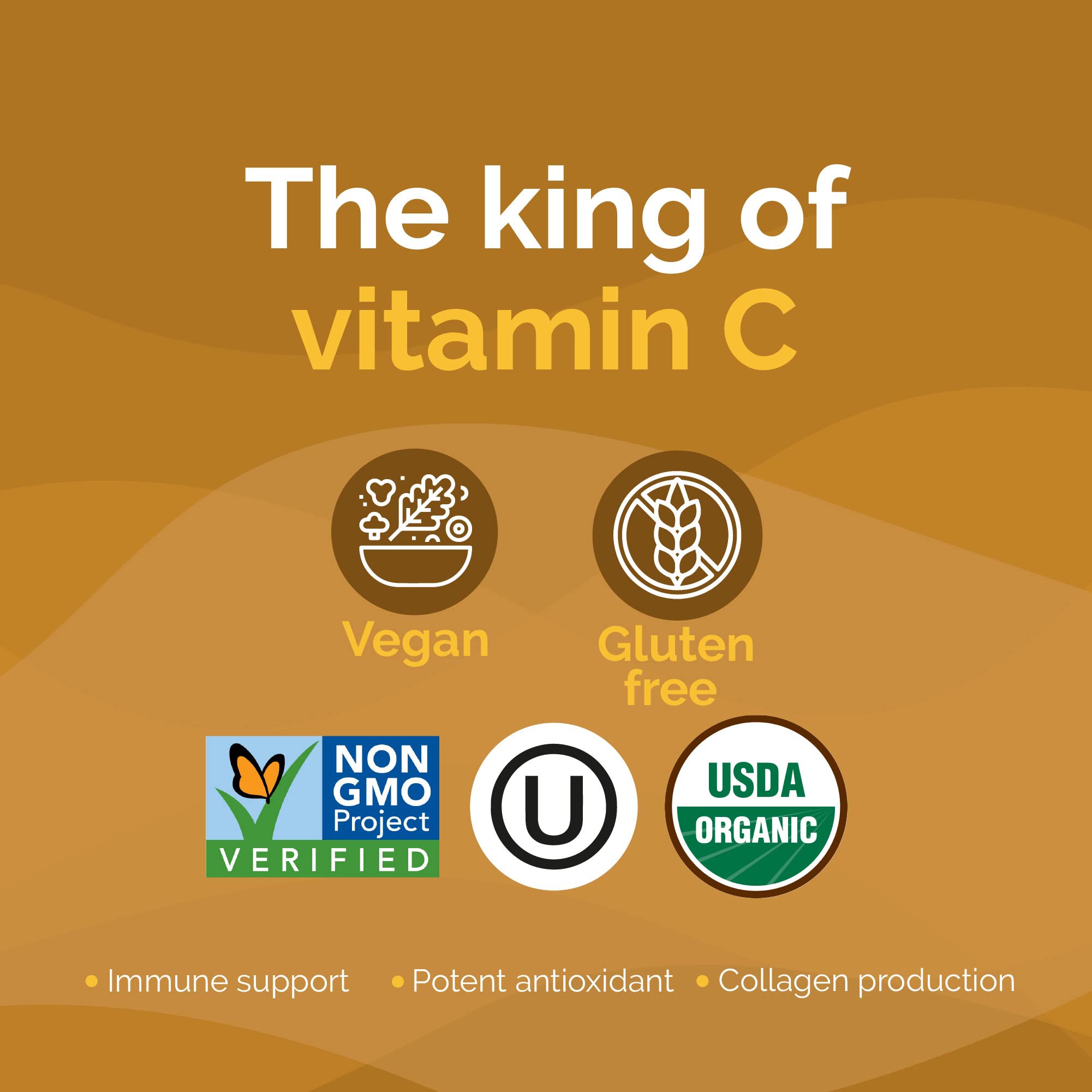 Zint Camu Camu Powder Organic 45g close-up of powder