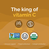 Zint Camu Camu Powder Organic 45g close-up of powder
