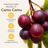 Zint Camu Camu Powder Organic 45g in juice