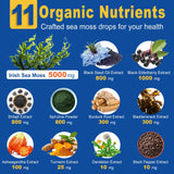 ZIPINKJ Sea Moss & Black Seed Oil Drops 141g bottle with dropper