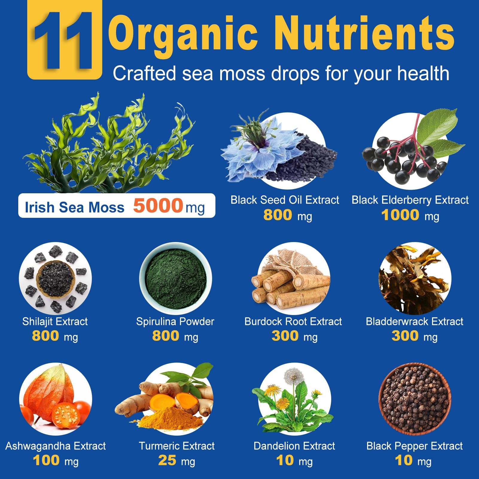 ZIPINKJ Sea Moss & Black Seed Oil Drops ingredients list