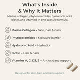 Zivere Marine Collagen Capsules on a wooden table