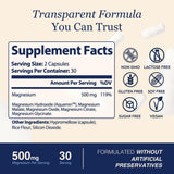 ZnS Health Magnesium Complex 500mg capsule close-up