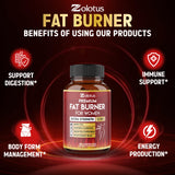 Zolotus Fat Burner Capsules lifestyle shot on a kitchen counter