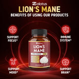 Zolotus Lion's Mane Mushroom Supplement back view with dosage information