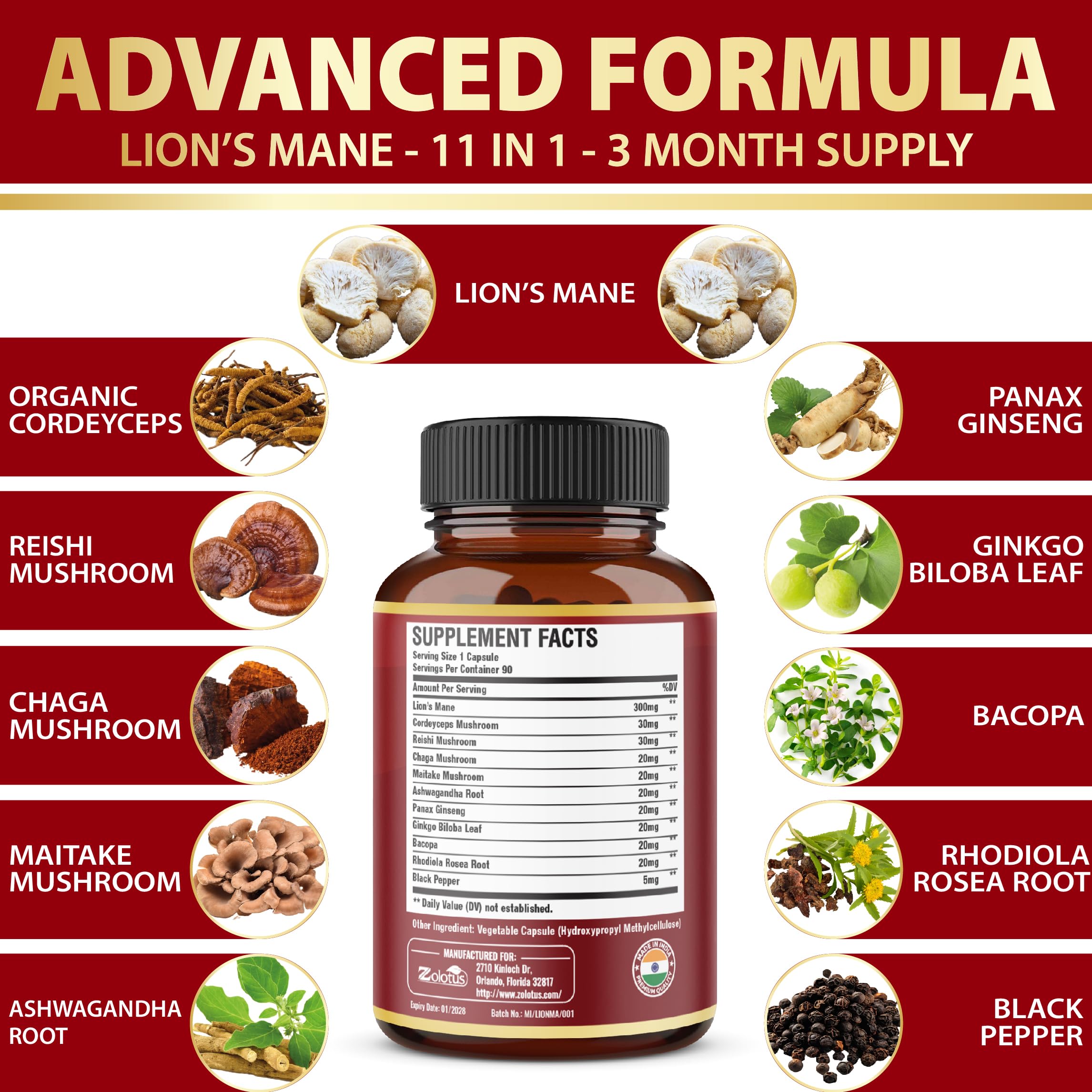 Zolotus Lion's Mane Mushroom Supplement displayed with other herbal supplements