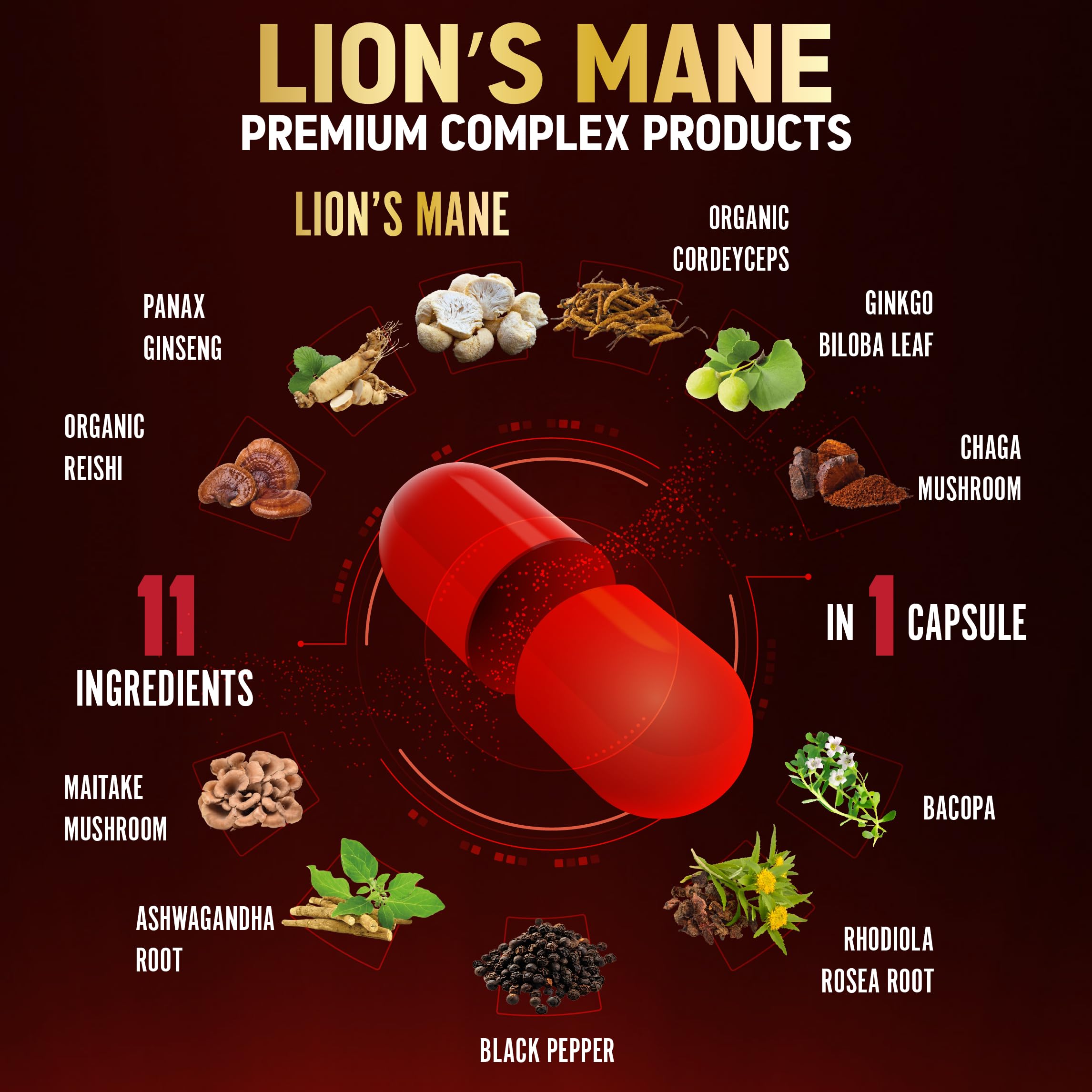 Zolotus Lion's Mane Mushroom Supplement packaging with ingredient list