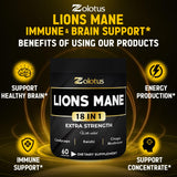 Zolotus Lions Mane Mushroom Supplement back view with nutritional information