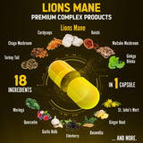 Zolotus Lions Mane Mushroom Supplement bottle with label