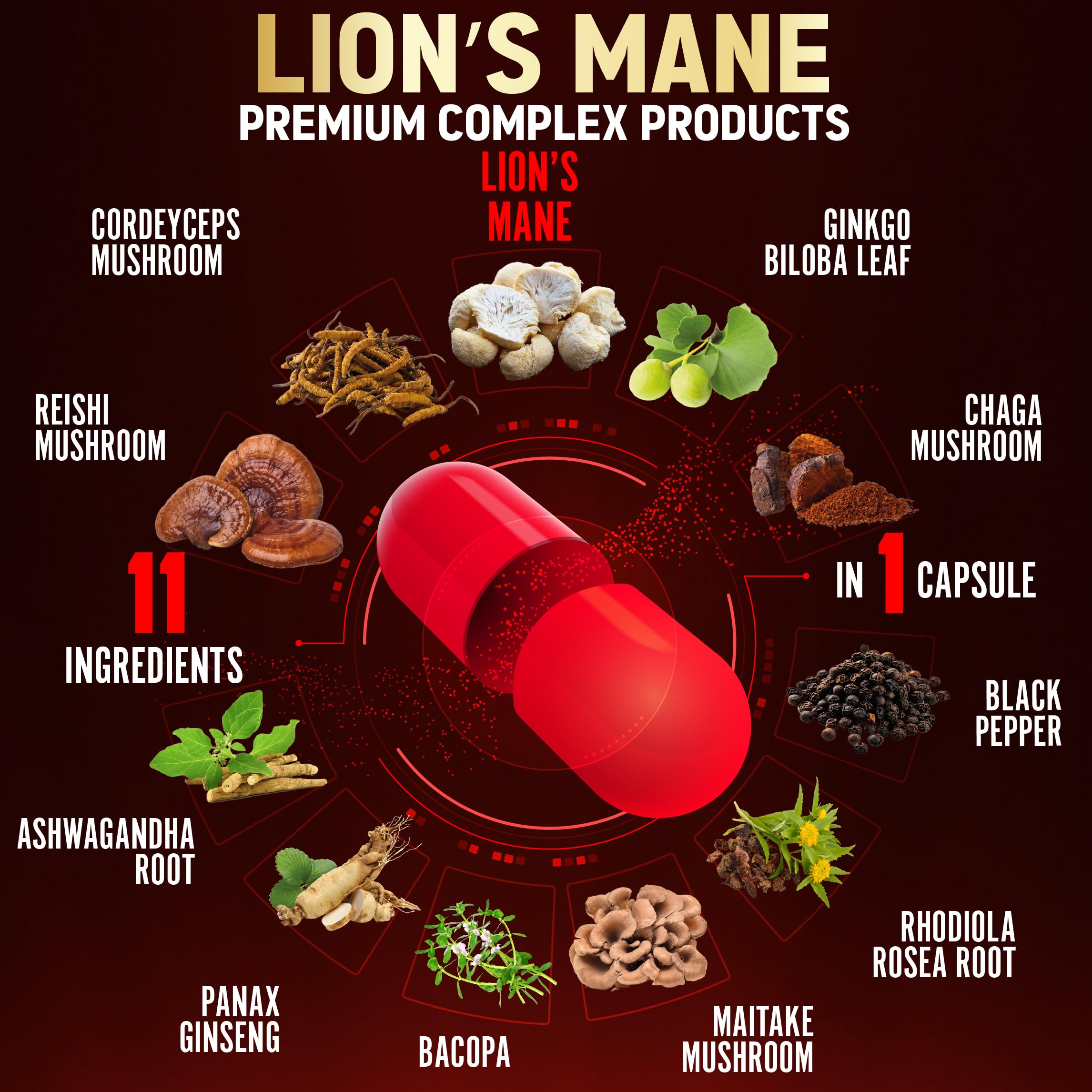 Zolotus Lions Mane Mushroom Supplement capsules close-up