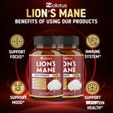 Zolotus Lions Mane Mushroom Supplement with a glass of water