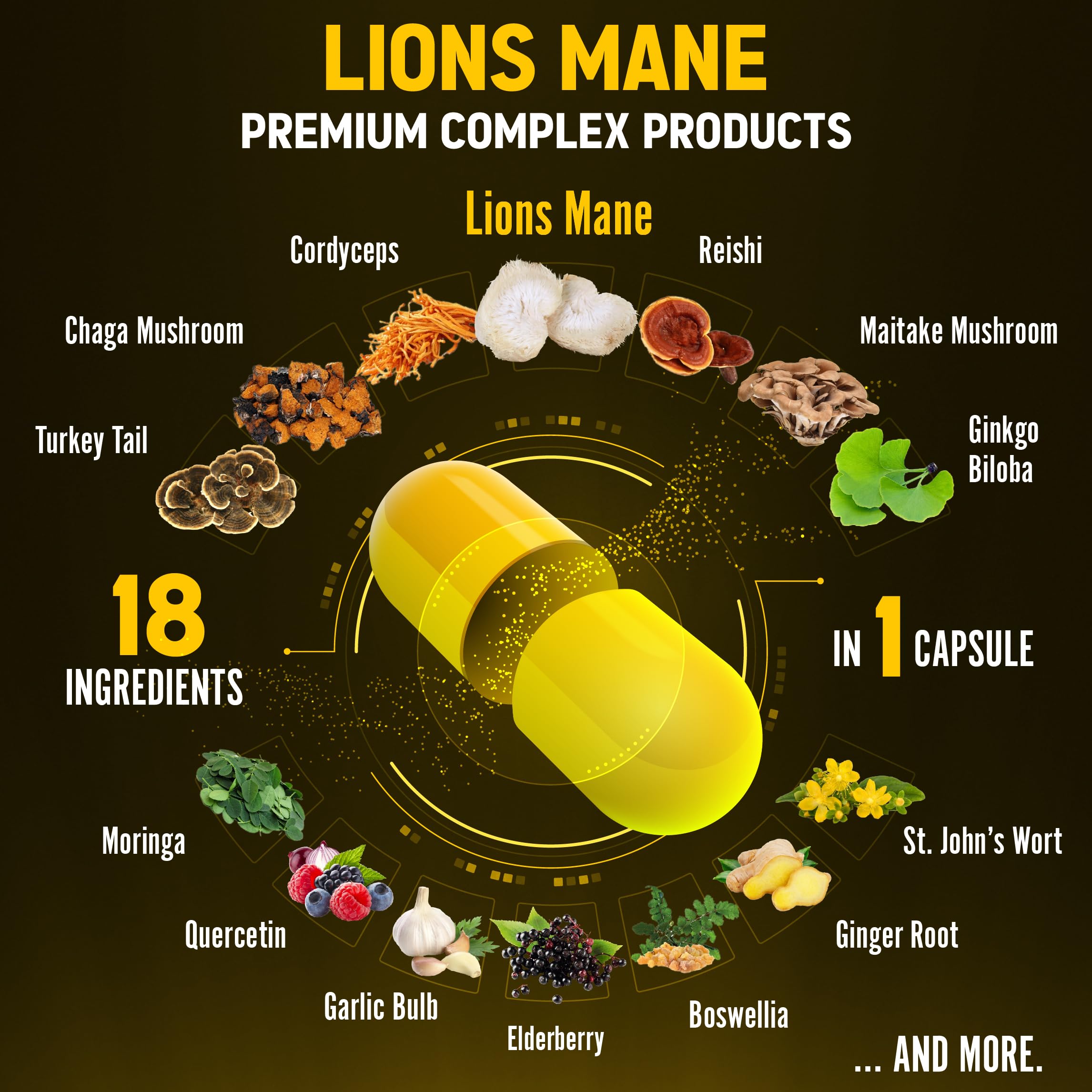 Zolotus Mushroom Supplement ingredients list on packaging