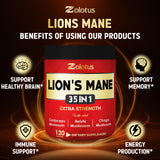 Zolotus Mushroom Supplement lifestyle image with capsules