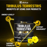 Zolotus Tribulus Terrestris capsules in a hand