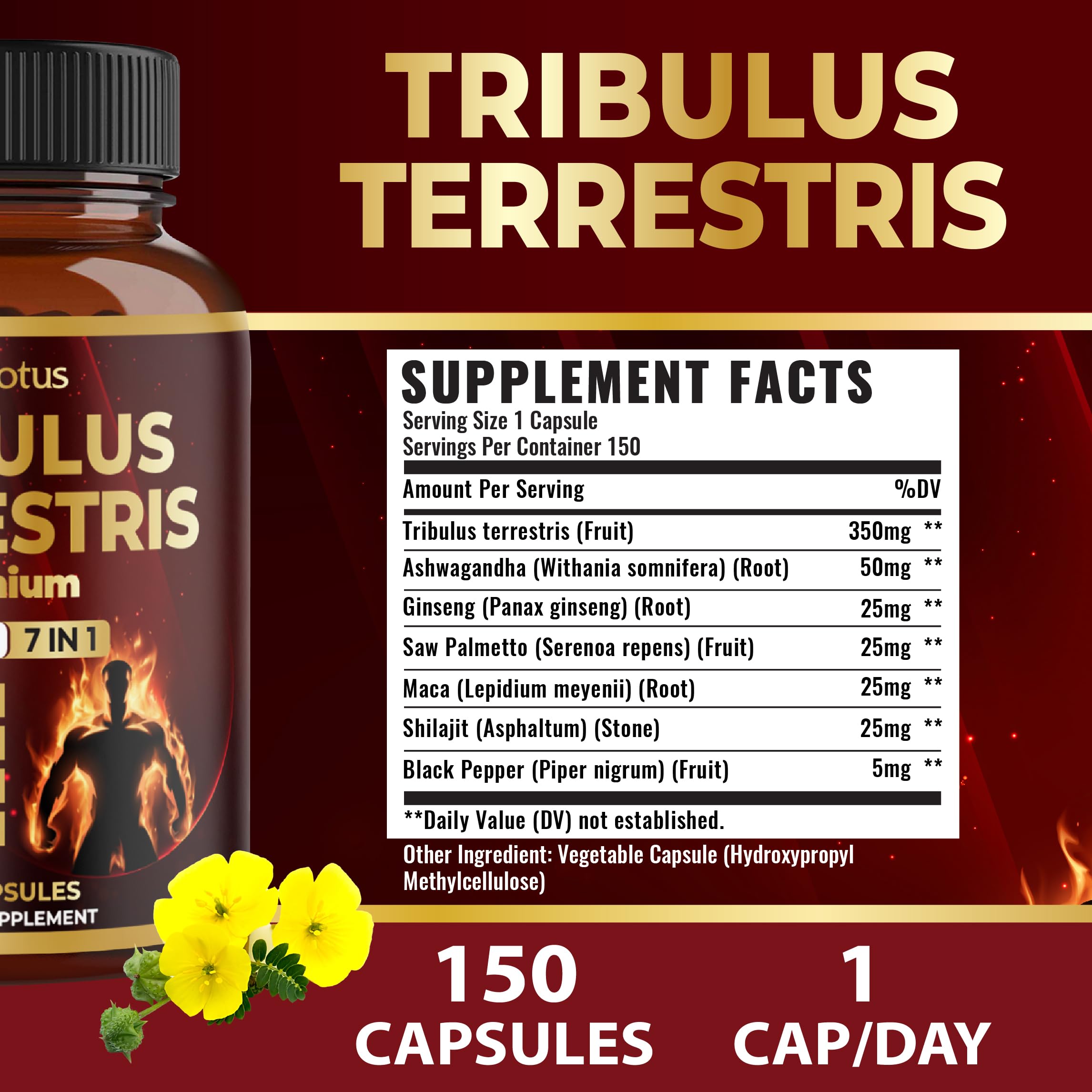 Zolotus Tribulus Terrestris Supplement bottle with label
