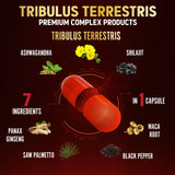 Zolotus Tribulus Terrestris Supplement capsules close-up