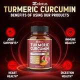 Zolotus Turmeric Curcumin bottle with dosage information