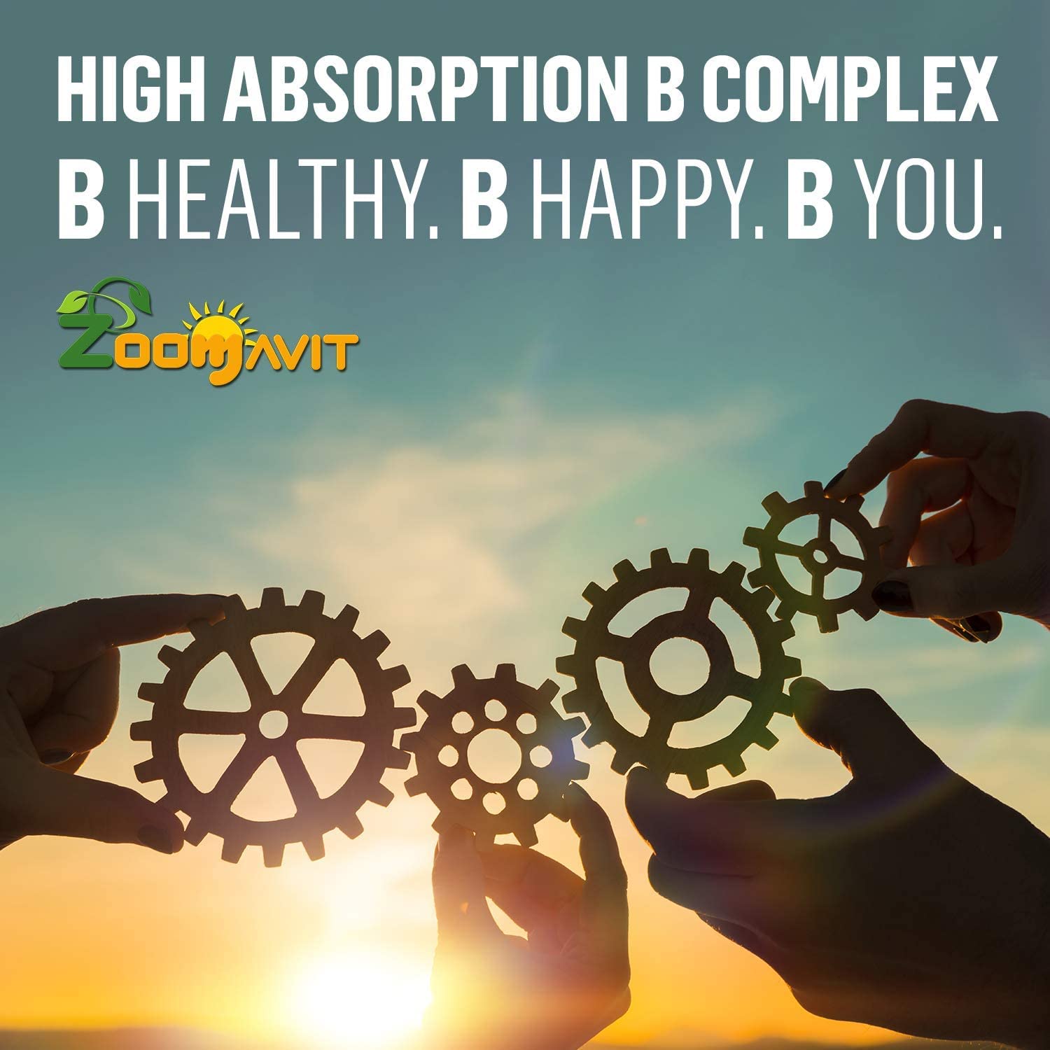 Zoomavit Liquid B12 Vitamin B Complex ingredients list