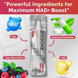 zooone NAD+ Supplement 600mg side view