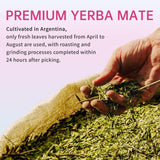 zooone Yerba Mate Capsules displayed with herbal supplements