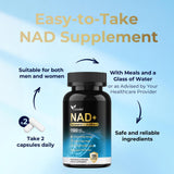 Zozdal NAD Capsules close-up of individual capsules