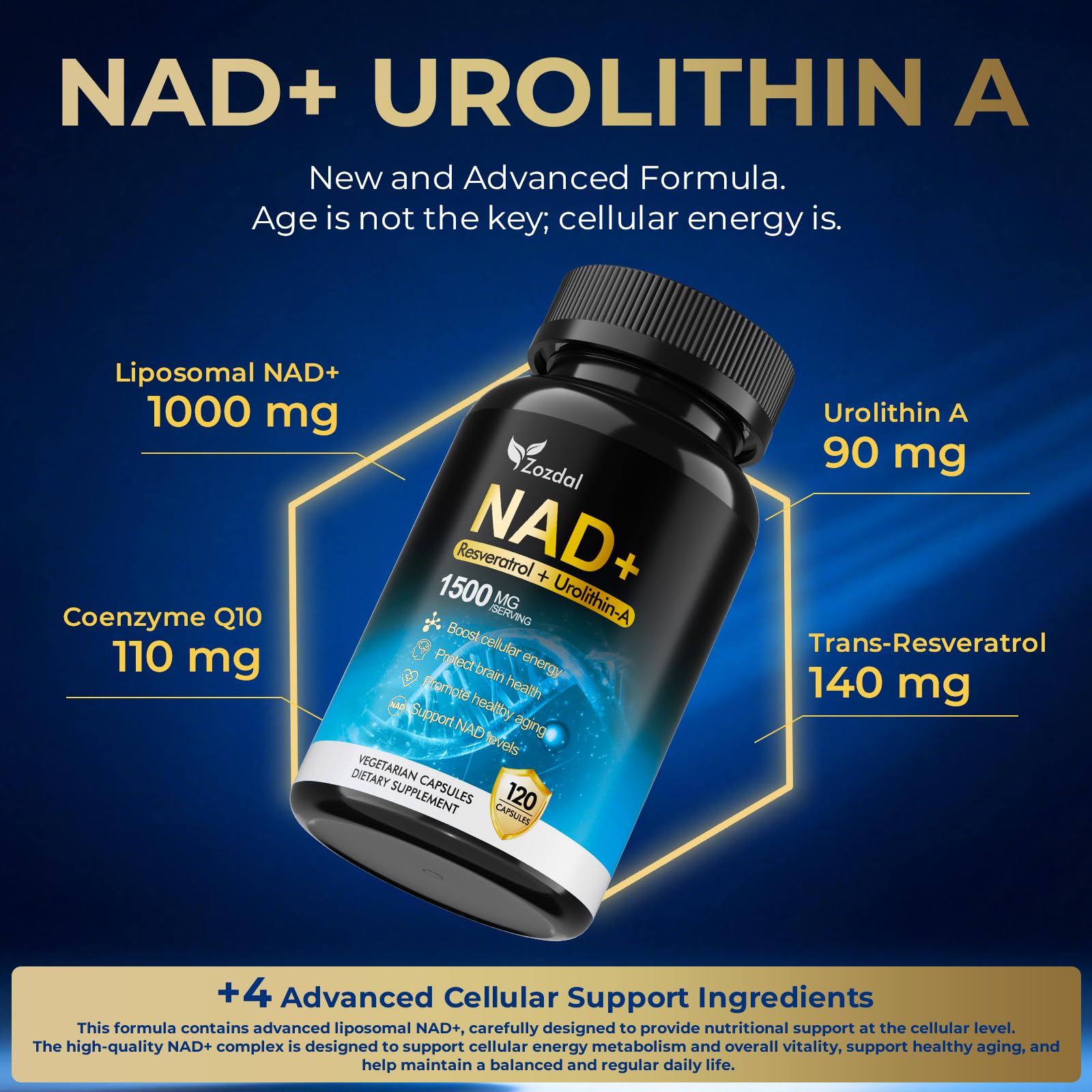 Zozdal NAD Capsules lifestyle scene with a glass of water