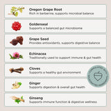 Zuma Nutrition Herbal Balance Tonic liquid in a glass