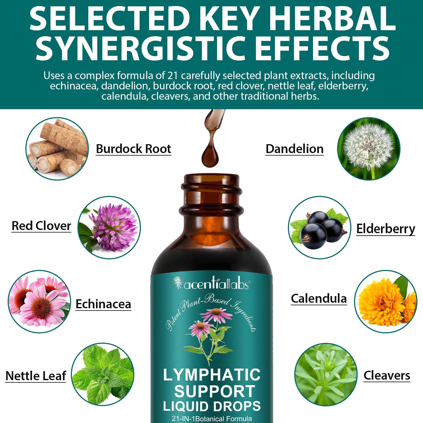 ZUZOKKAHA Echinacea 21-in-1 Liquid Drops 150g with measuring dropper