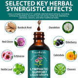 ZUZOKKAHA Echinacea 21-in-1 Liquid Drops 150g with measuring dropper