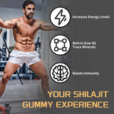 ZYGCDZ Shilajit Gummies with Ashwagandha and Gokshura