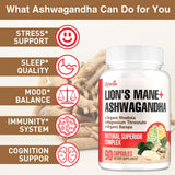 Zylvrax Lions Mane & Ashwagandha Supplement ingredients list