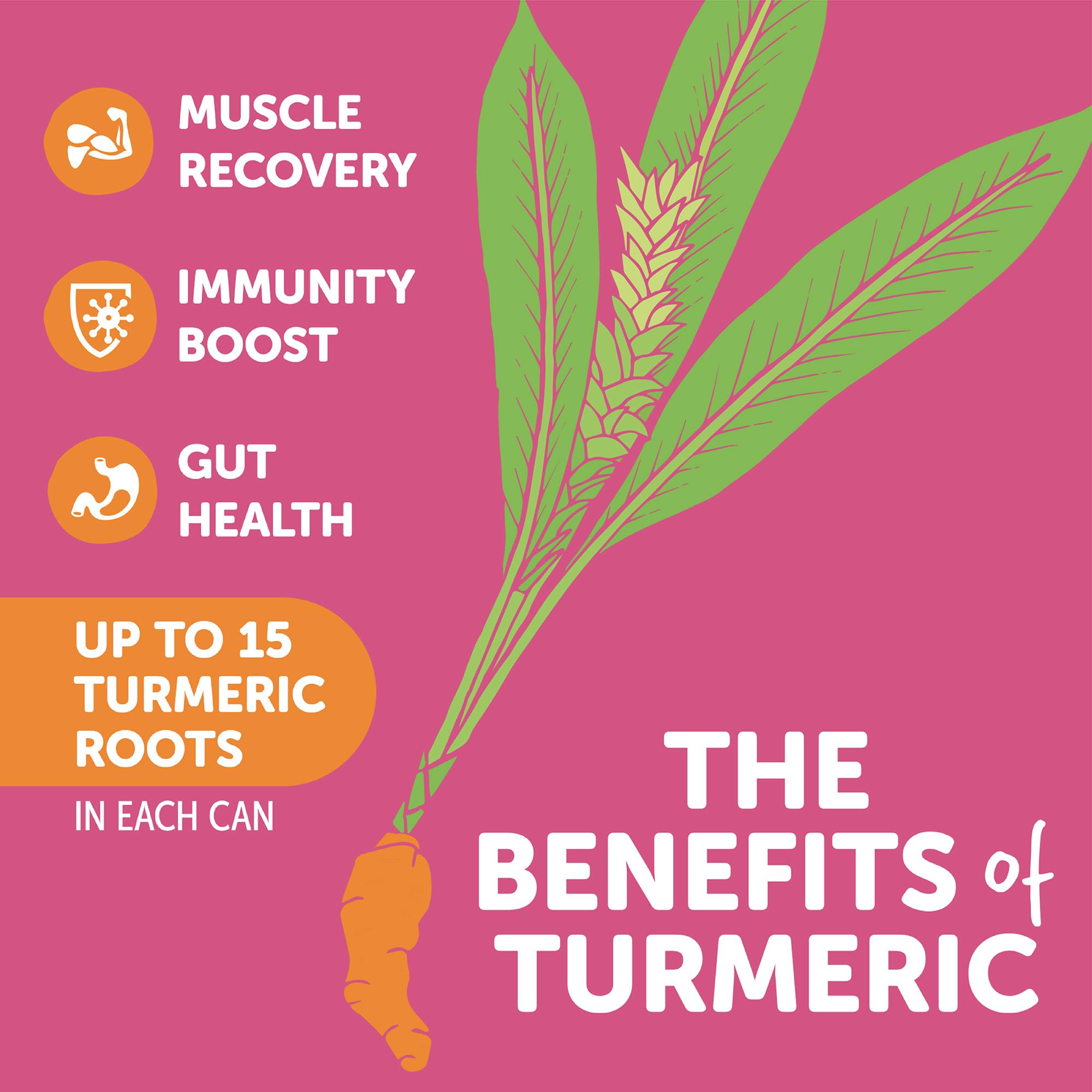 ZYN Turmeric Curcumin Supplement Drink ingredients list