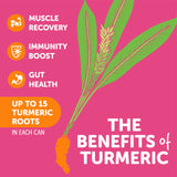 ZYN Turmeric Curcumin Supplement Drink ingredients list