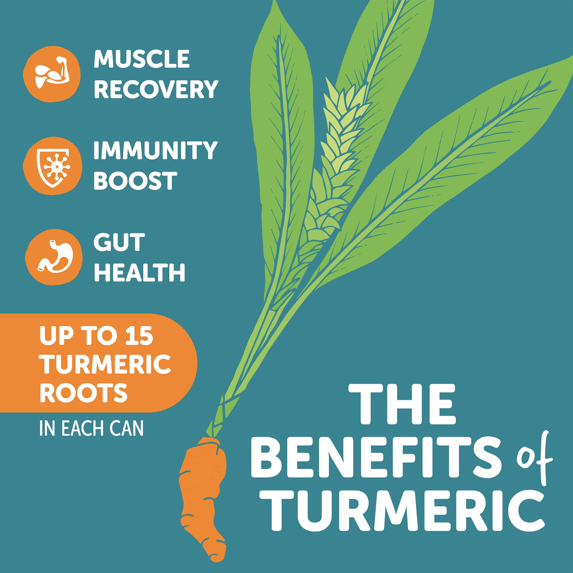 ZYN Turmeric Curcumin Supplement Drink with black pepper