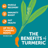 ZYN Turmeric Curcumin Supplement Drink with black pepper