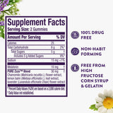 ZzzQuil PURE Zzzs Advanced 10mg Melatonin Gummies with complementary botanicals